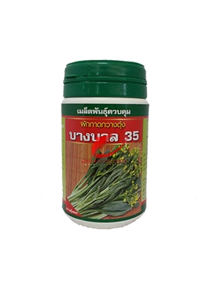 เมล็ดพันธุ์ กวางตุ้งดอก บางบาล35